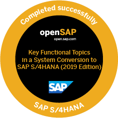 Key Functional Topics in a System Conversion to SAP S4HANA